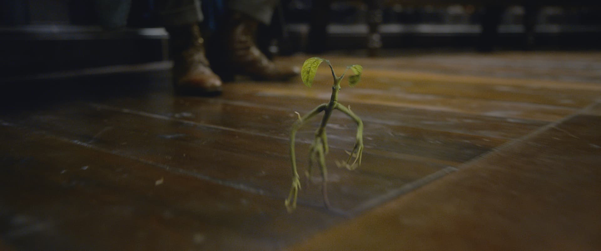The Tree-dwelling Bowtruckle. FANTASTIC BEASTS: THE CRIMES OF GRINDELWALD. Warner Bros. Pictures.