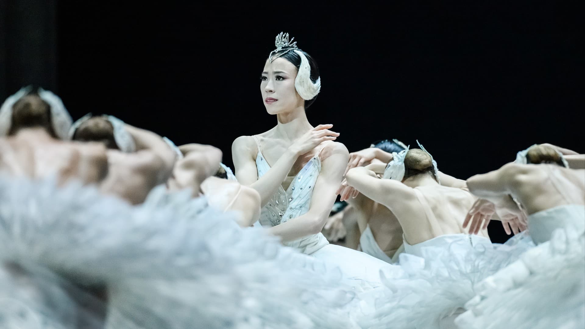 Experience 'Swan Lake' in IMAX starting November 8