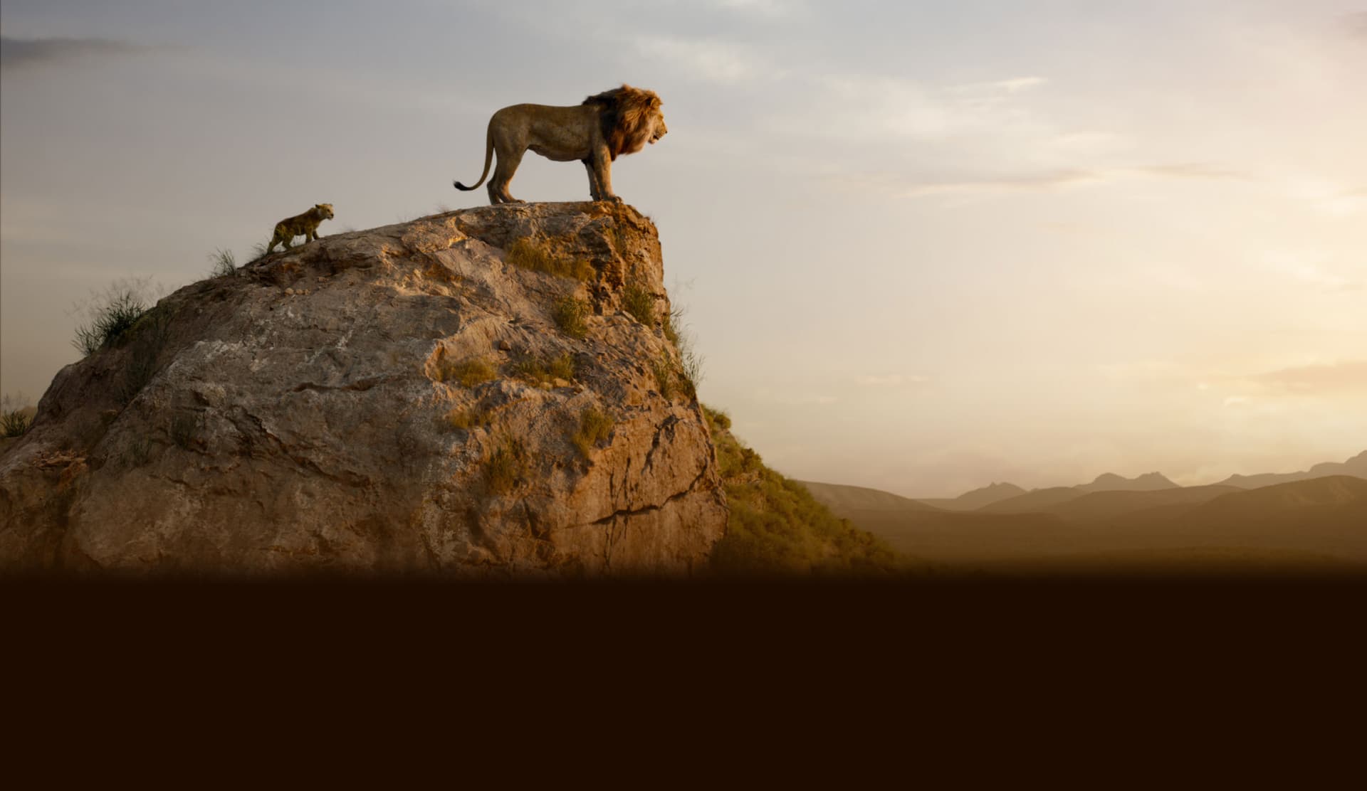The Lion King
