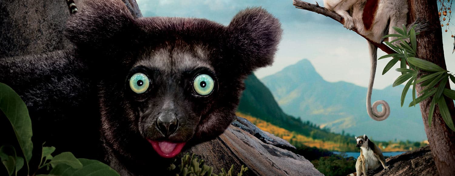 The Island Of Lemurs: Madagascar is Coming to Blu-ray March 31