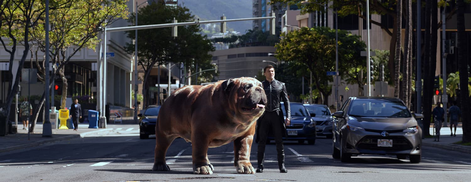 Marvel’s Inhumans: Meet The Royal Family