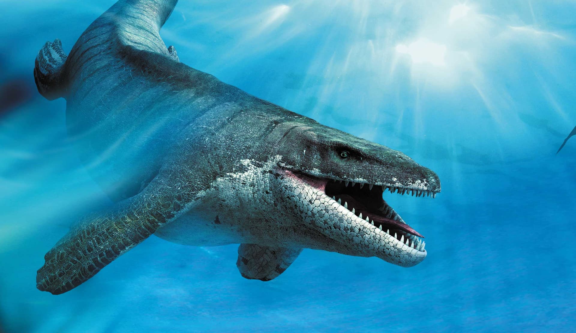 Sea Rex Journey To A Prehistoric World 2010 Movie Tickets sea-rex-journey-to-a-prehistoric-world-2010-movie-tickets